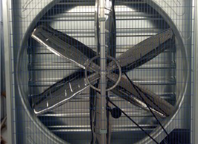 點擊查看詳細信息<br>標題：Heavy Hammer Type Animal Husbandry Fan 閱讀次數(shù)：1657