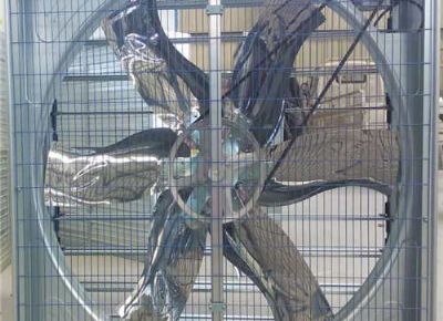 點擊查看詳細信息<br>標題：Push Pull Negative Pressure Fan 閱讀次數(shù)：1449